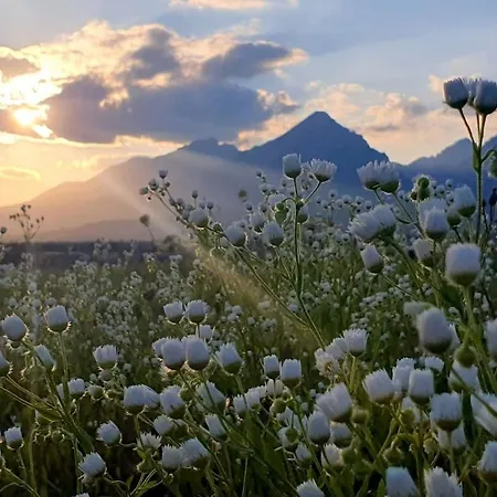 Horská chata House Erika Stará Lesná