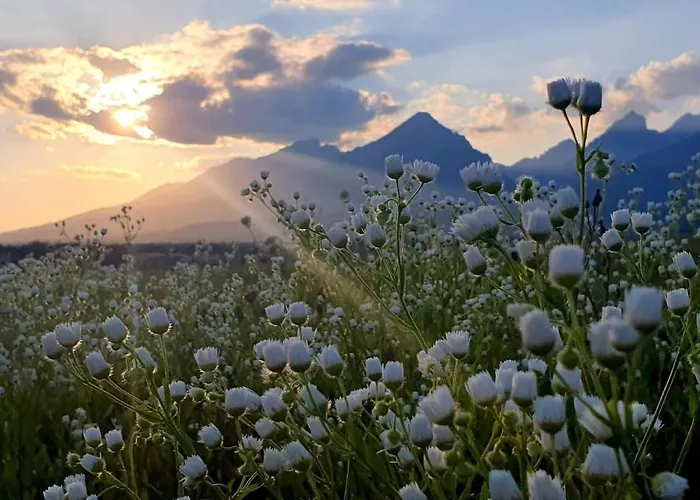 샬레 House Erika Stará Lesná